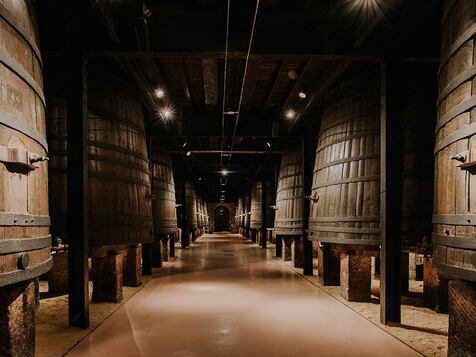 Visita-Cata-Bodegas-Franco-Espanolas-La-Rioja