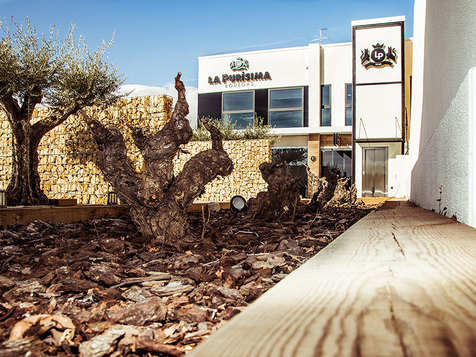 enoturismo-bodegas-la-purisima-murcia