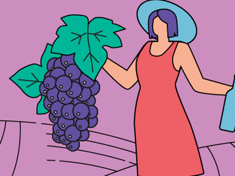 vendimia abierta jumilla