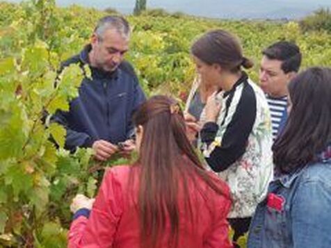visita-bodegas-pujanza-la-rioja