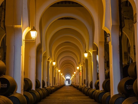 visita bodegas fundador