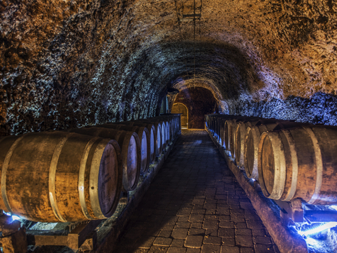 visita-teatralizada-bodega-fabulista-alava