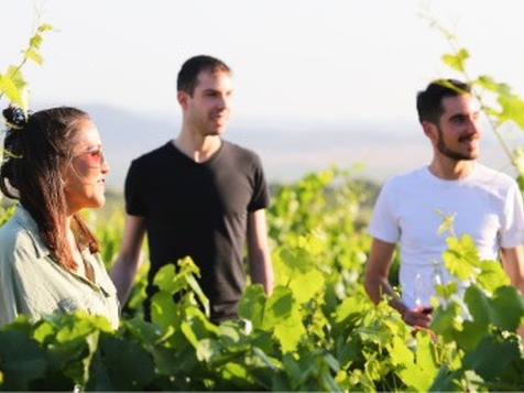visita bodegas castaño