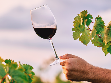 bodegas-cosecha-extremena-enoturismo