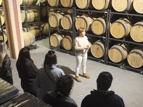 visita-bodega-mallorca-enoturismo