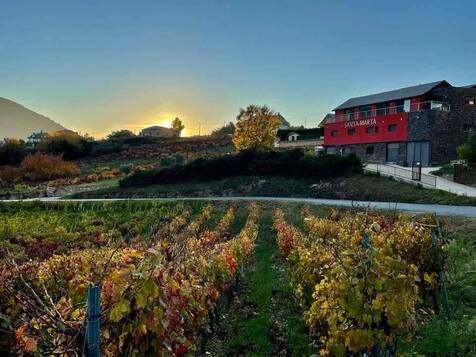 visita-bodegas-santa-marta-galicia