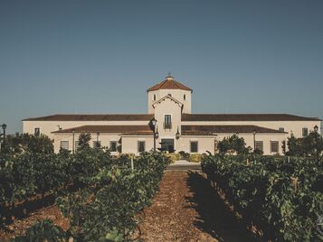 visita bodegas paiva almendralejo extremadura