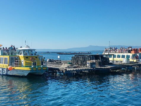 ruta mejillones pontevedra galicia
