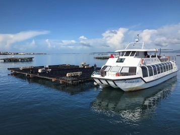 ria-de-arousa-barco-de-los-mejillones-galicia