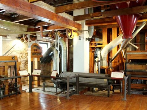 museo arroz valencia