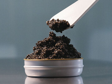 cata caviar rio frio granada