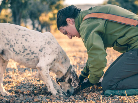 buscar trufas teruel