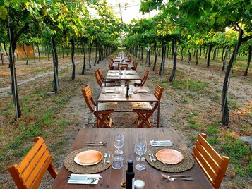 menu degustacion mallorca