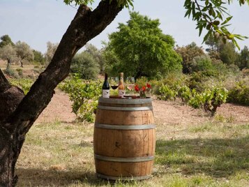 cata vino matarrana aragon