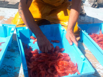 actividad de pesca barcelona