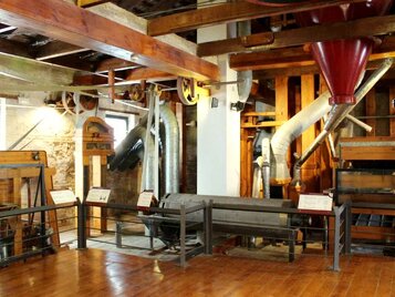 museo arroz valencia