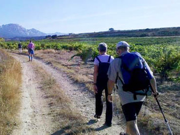 senderismo entre bodegas la rioja