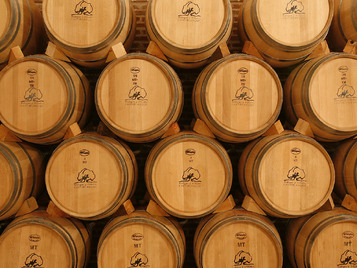 Visita Bodegas Castiblanque Ciudad real Castilla La Mancha