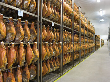 visita-bodegas-martinez-somalo