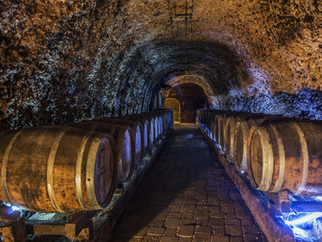 visita-teatralizada-bodega-fabulista-alava