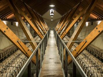 visita-bodega-arinzano-navarra