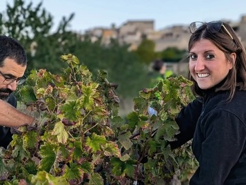 enoturisme conca de barbera